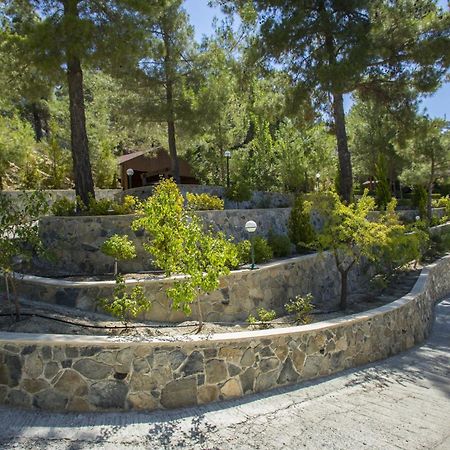 Ricky Chalet Near Troodos Spilia Экстерьер фото