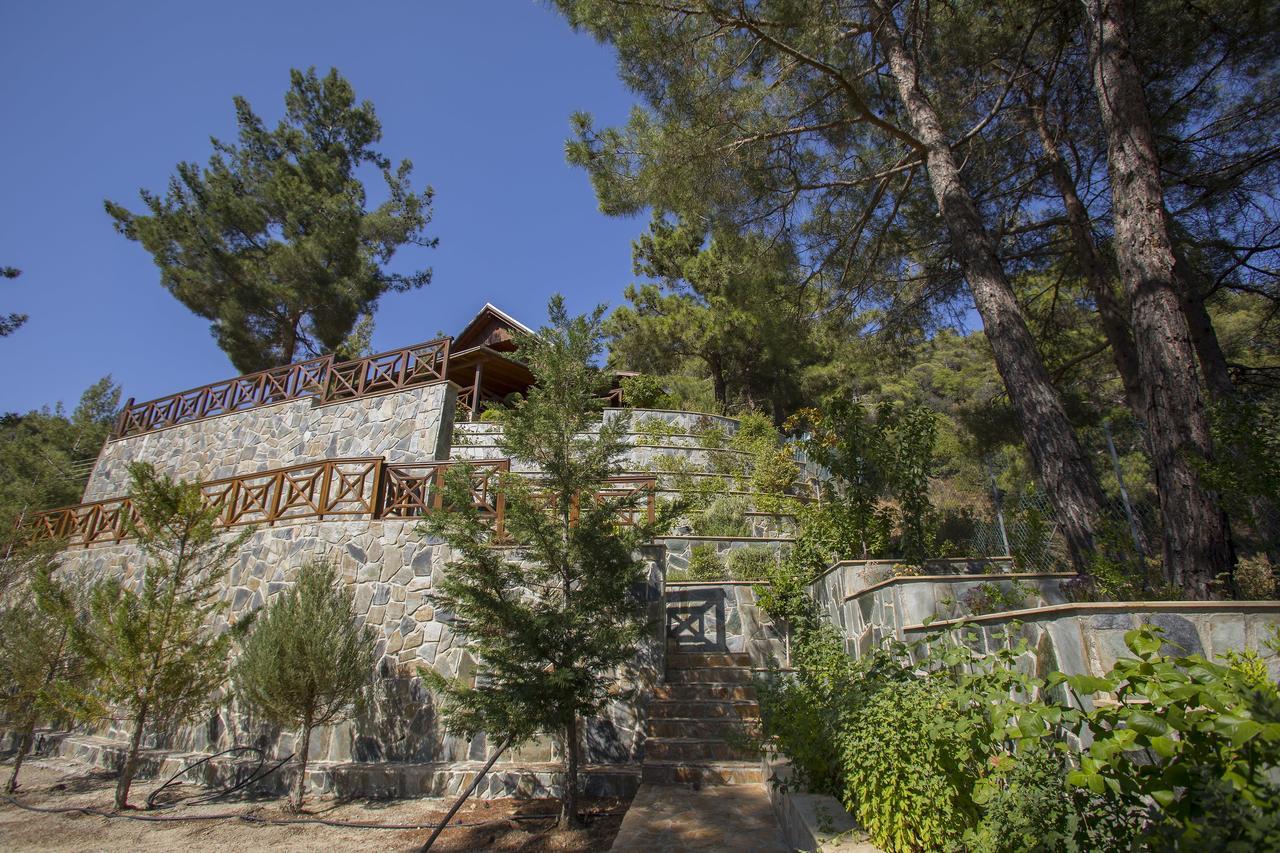 Ricky Chalet Near Troodos Spilia Экстерьер фото