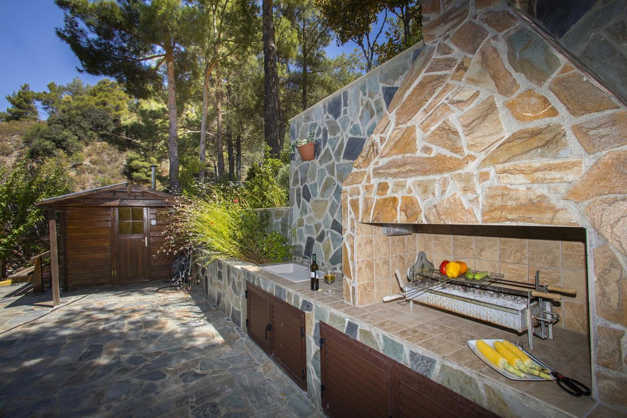 Ricky Chalet Near Troodos Spilia Экстерьер фото