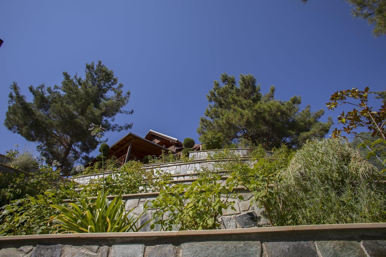 Ricky Chalet Near Troodos Spilia Экстерьер фото