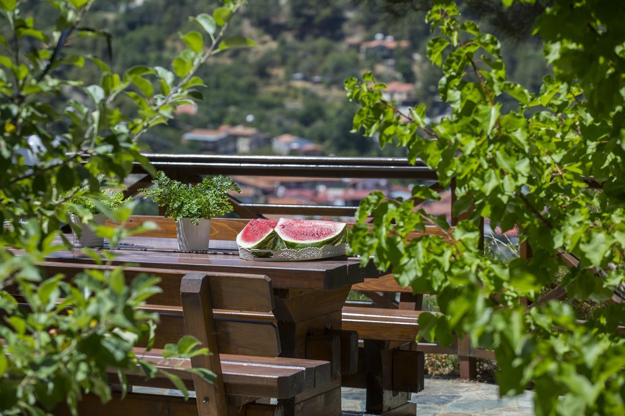 Ricky Chalet Near Troodos Spilia Экстерьер фото