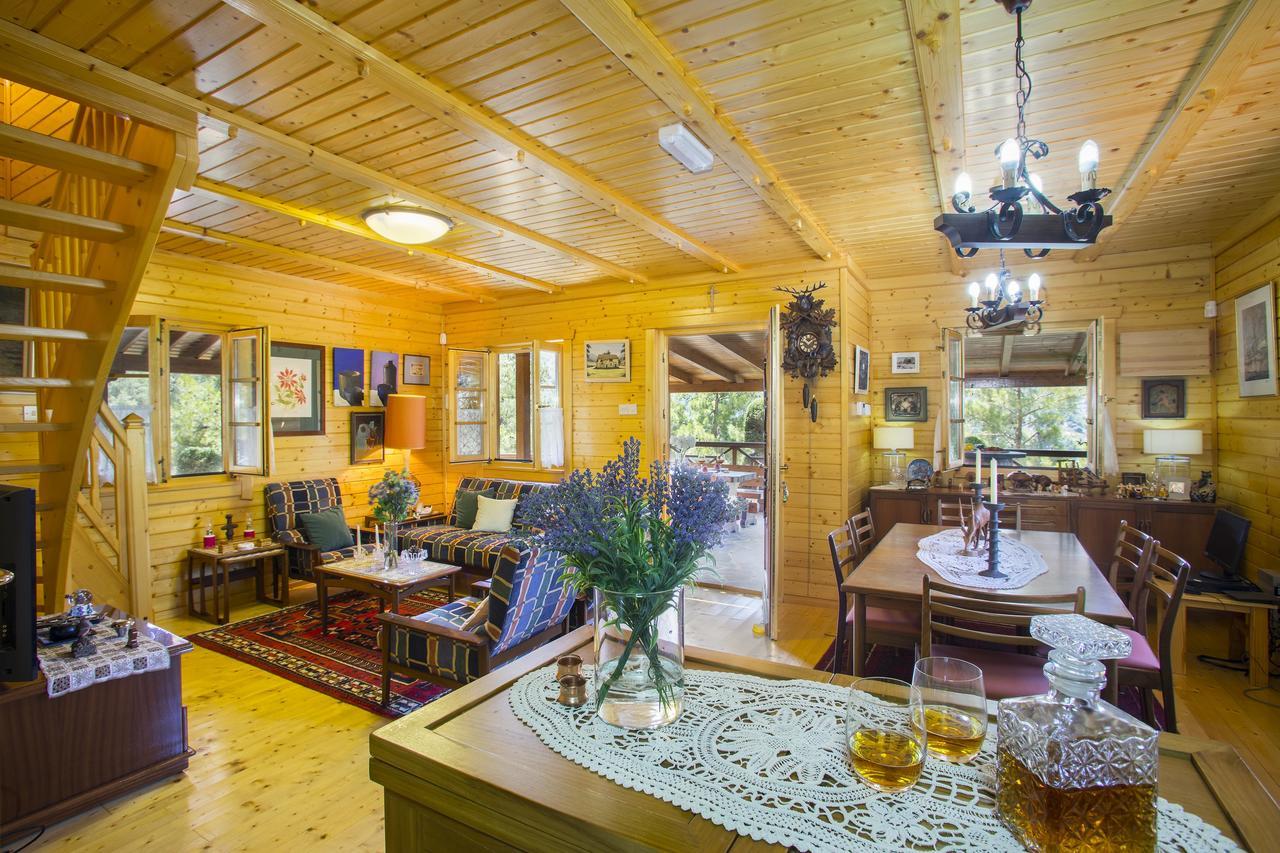 Ricky Chalet Near Troodos Spilia Экстерьер фото