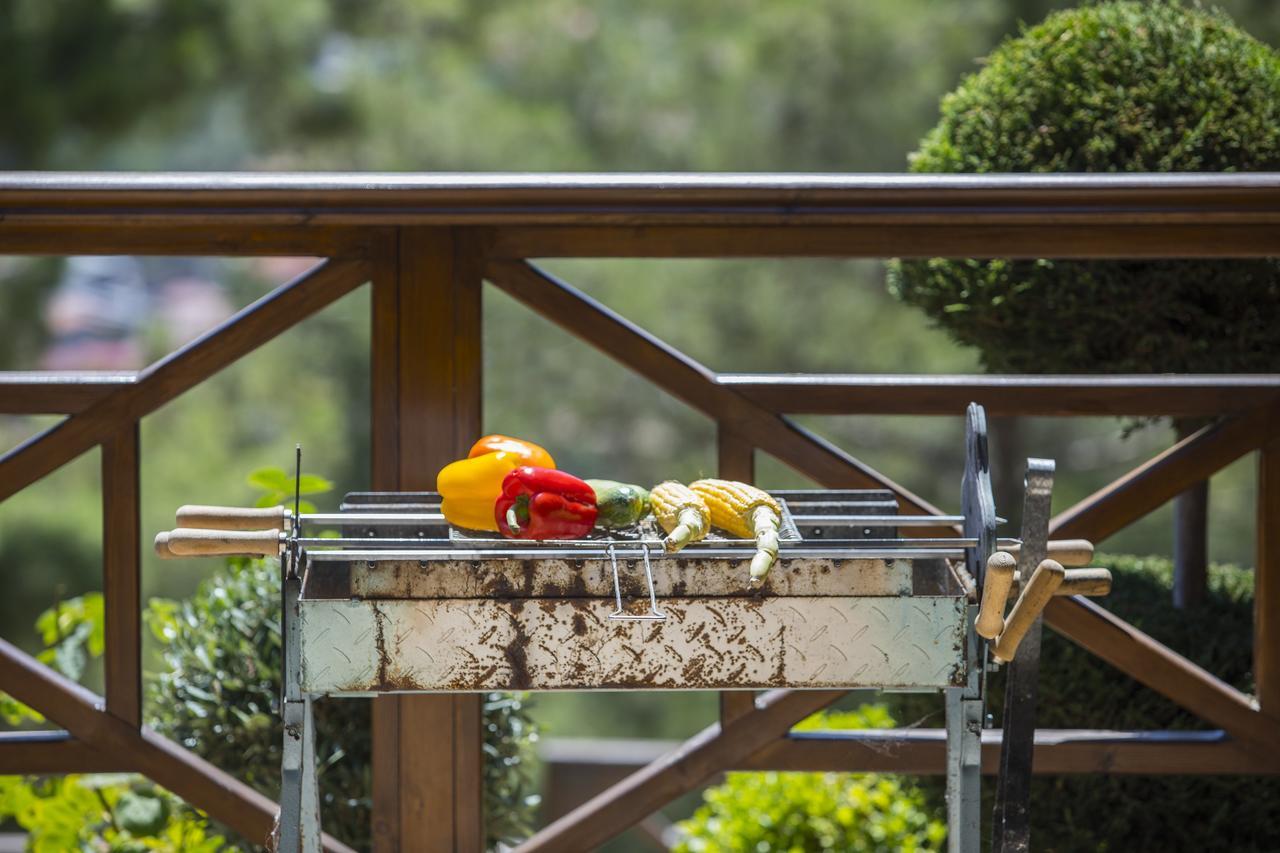 Ricky Chalet Near Troodos Spilia Экстерьер фото