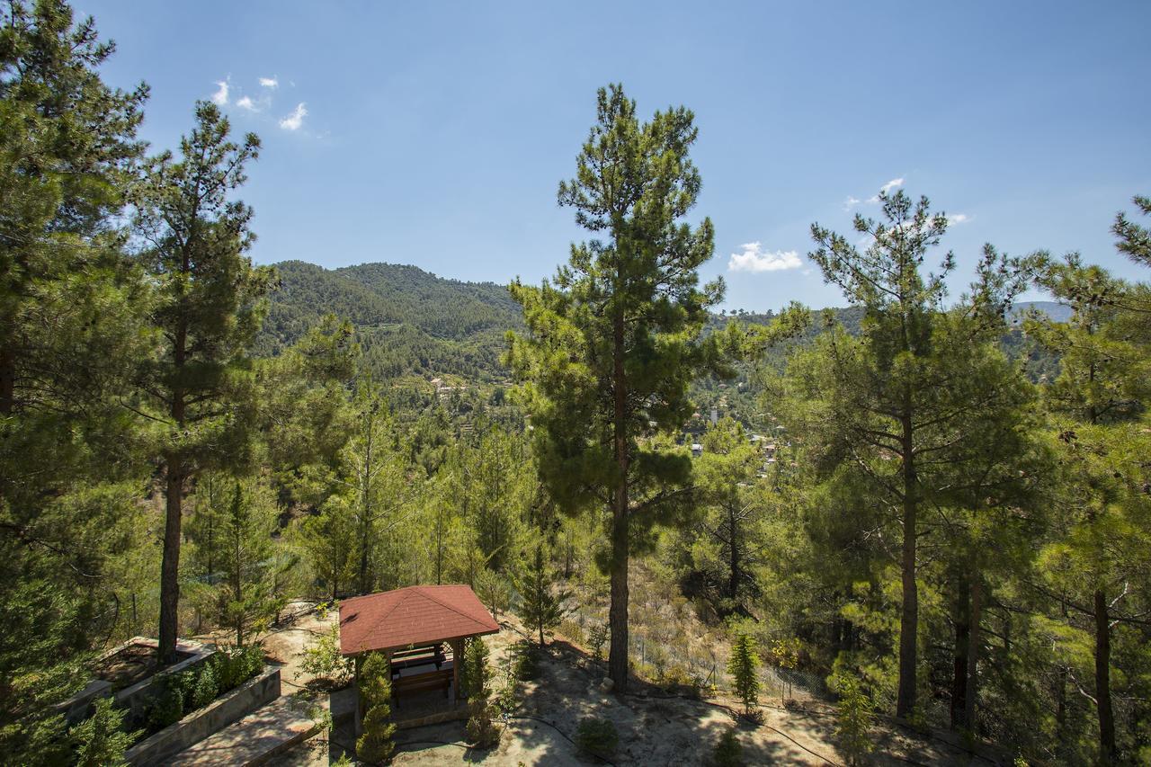 Ricky Chalet Near Troodos Spilia Экстерьер фото