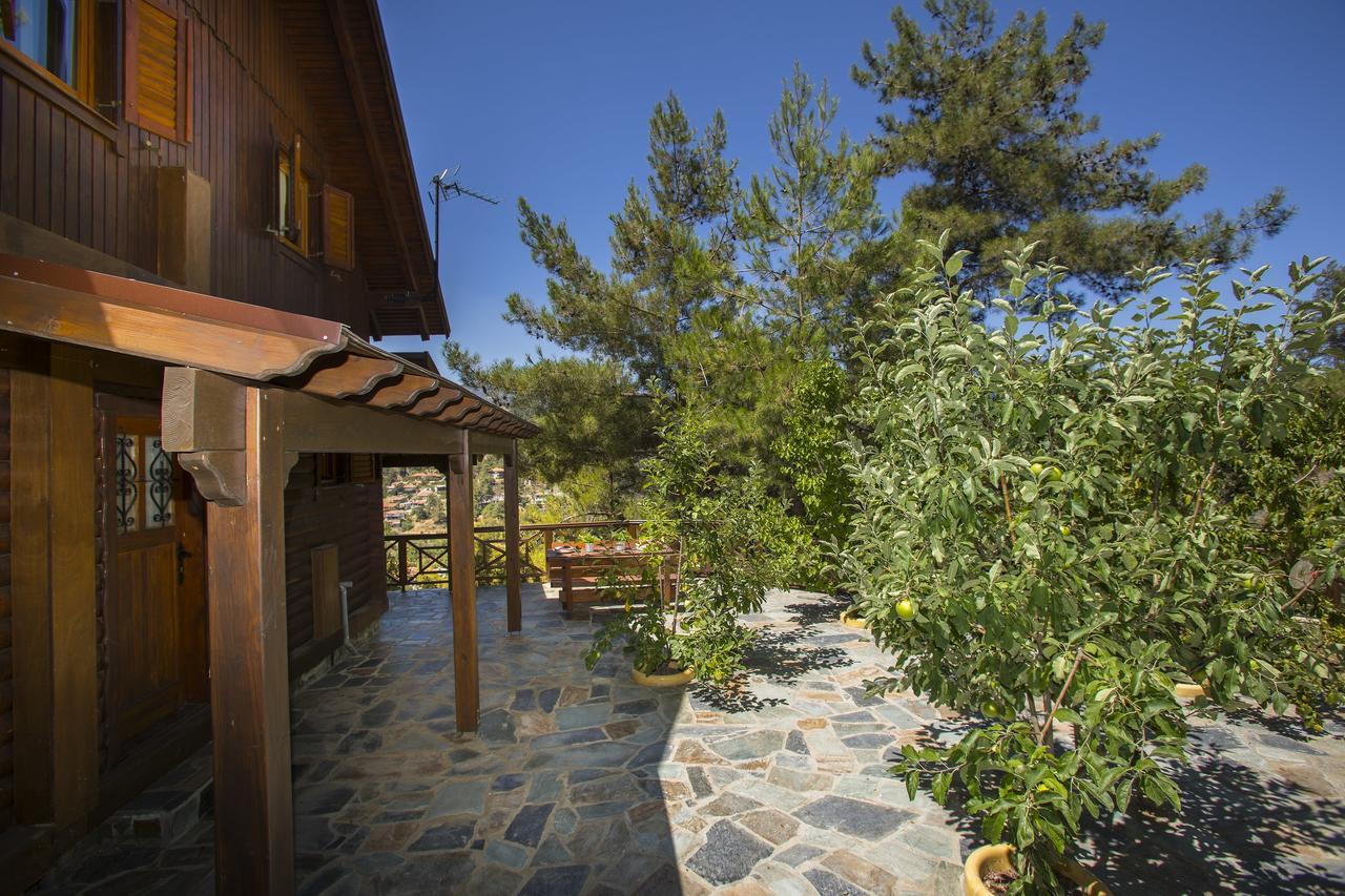 Ricky Chalet Near Troodos Spilia Экстерьер фото