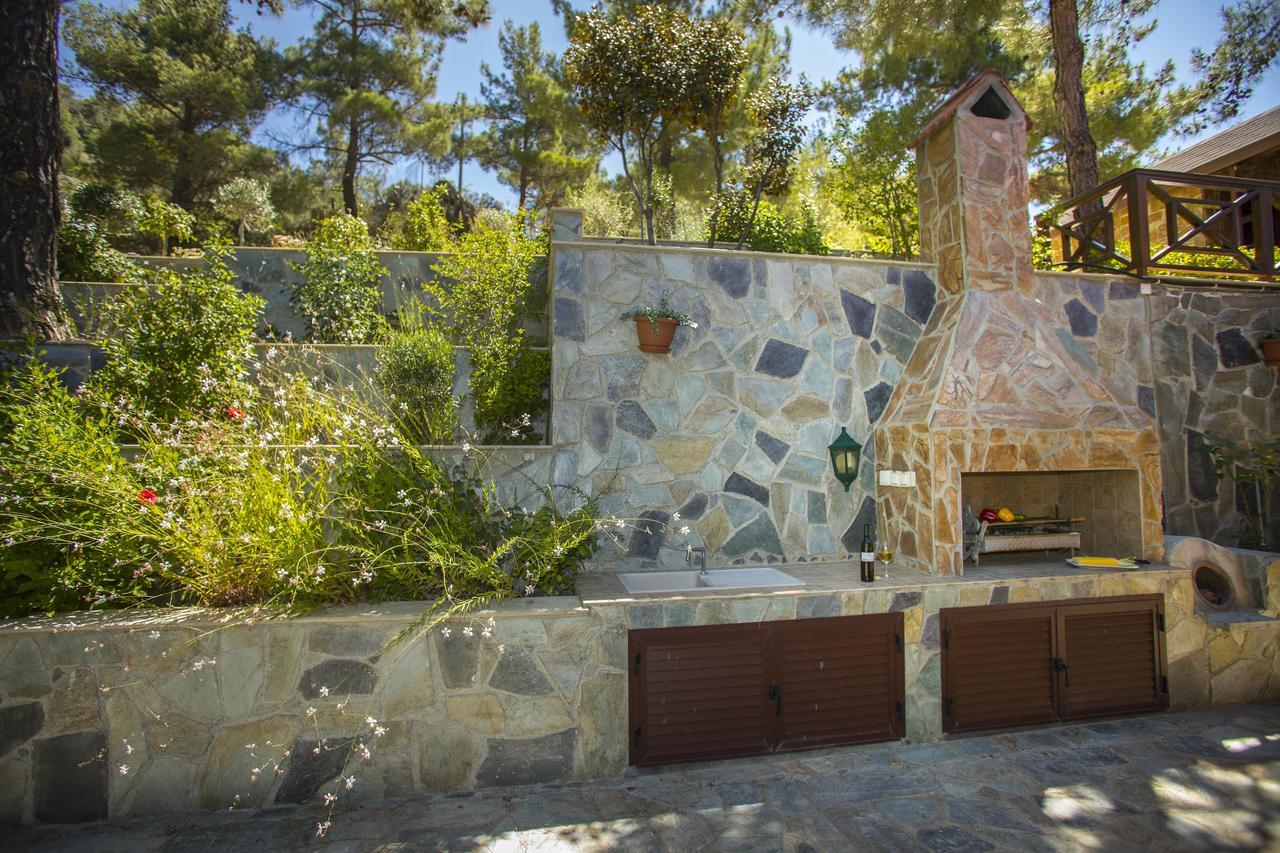 Ricky Chalet Near Troodos Spilia Экстерьер фото