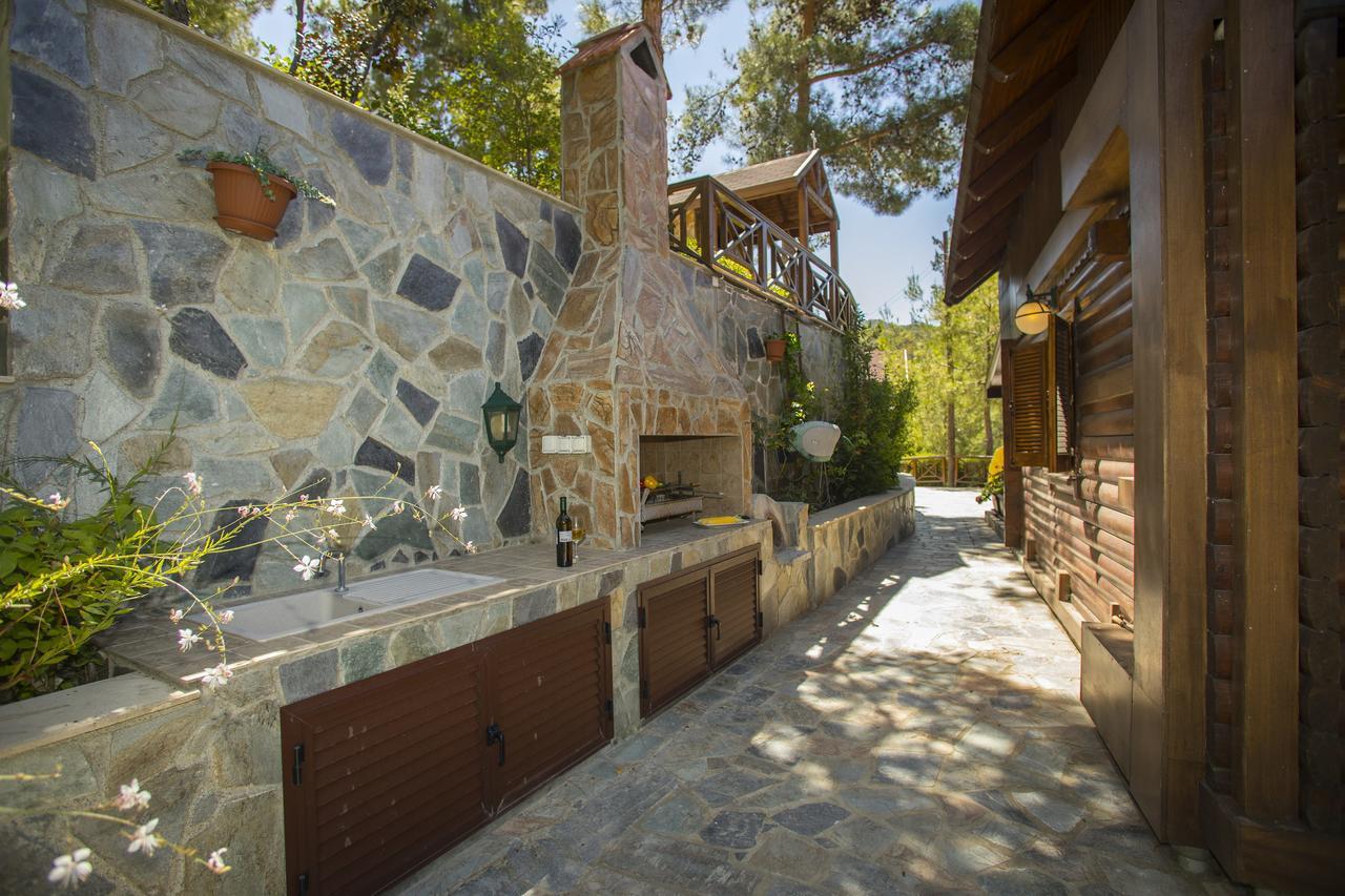 Ricky Chalet Near Troodos Spilia Экстерьер фото
